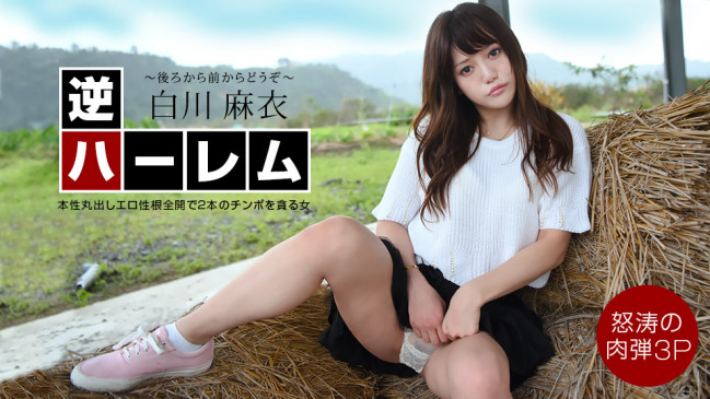 逆ハーレム 後ろから前からどうぞ白川麻衣 1PONDO 040222_001 1PONDO 040222_001