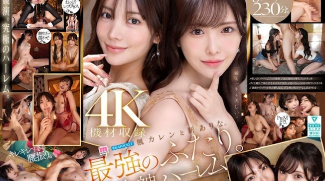 女神後宮 楓可憐／新有菜