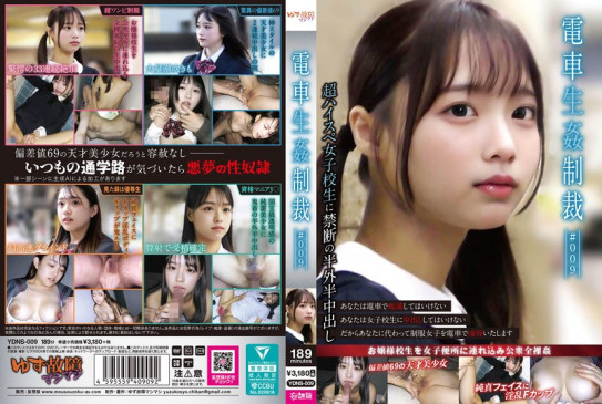 電車生姦制裁 ＃009 YDNS 009